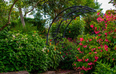 A picturesque view of the park with flowering plants, in the center there is a beautiful metal arch.