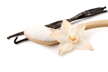 Wooden spoon with vanilla sugar, sticks and flower on white background, closeup
