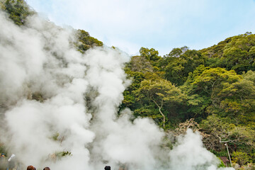 地下から湧き出る温泉の湯気と森の木
