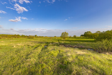 Fototapeta premium Evening landscape. Blue sky with clouds above the horizon. early spring in the countryside, soft sunlight on the grass.