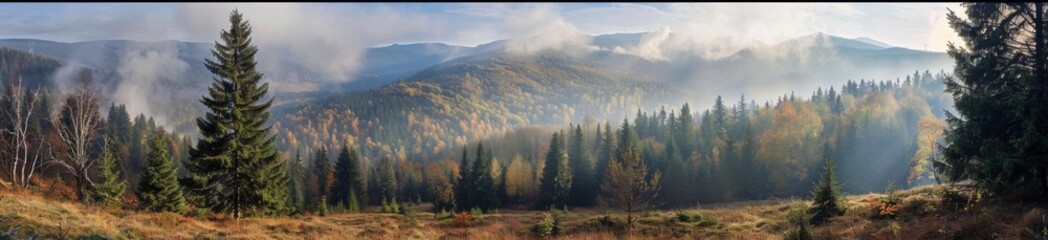 A panoramic view of the Carpathian Mountains, with dense forests and high mountain peaks shrouded in mist Generative AI