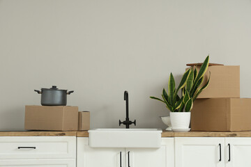 Kitchen counters with sink, houseplant and cardboard boxes near white wall. Moving house concept