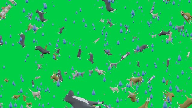 Raining Cats and Dogs and Rain - Green Screen Background - Rendered Animation