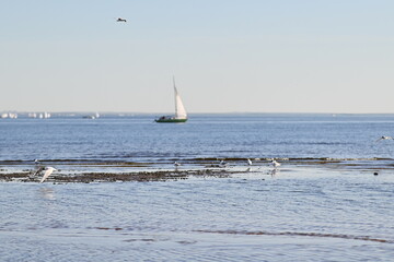 sailboat on the beach