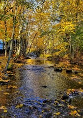 Fall is fast approaching 