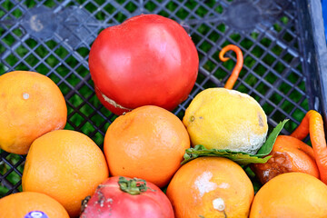A plastic crate filled with various fruits, some showing signs of rotting and decay, highlighting food waste issues.

