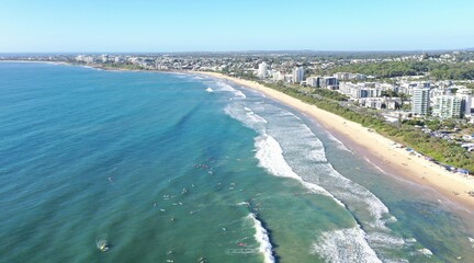 Maroochydore Cotton Tree