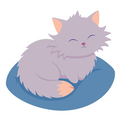 Fluffy cat sleeping on a pillow, white background