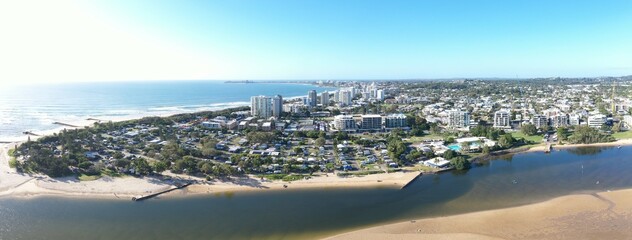 Fototapeta premium Maroochydore Cotton Tree