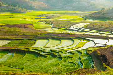 Rice terrasses fields of Madagascar © Elena