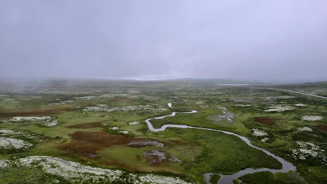 Aerial view: Winding stream flows through mossy vegetation in Rondane National Park, Norway during a rainy day.