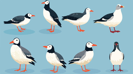 Different sea birds and seagulls collection flat ve