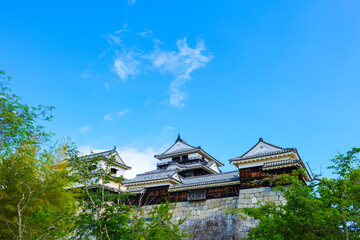 Naklejka premium 松山城 愛媛県観光