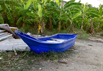 Closeup of Blue Fiber Plastic Boat broken and damaged parked on the ground inside a banana tree...