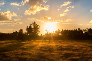 A beautiful sunset casts a golden glow over a farm in Villarrica at region of Araucania, Chile. The warm light illuminates the grass and trees, creating a serene and picturesque rural scene. © Jose Luis Stephens