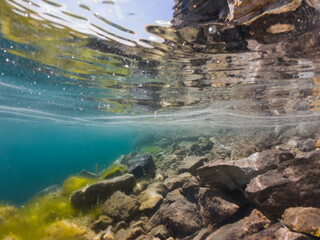 Underwater photography, clear water at the rumu quarry with rocky bottom.