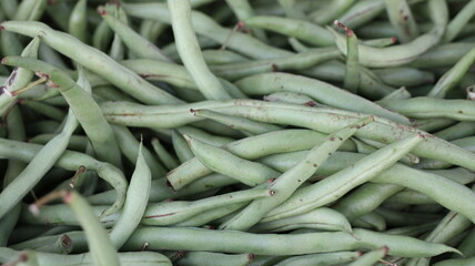 green beans on the market in containers