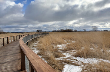 A long wooden boardwalk runs through a field of tall grass in Estonia. The sky is cloudy and the weather is cold