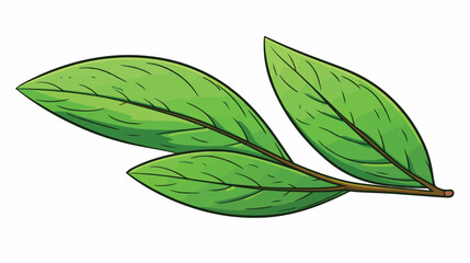 Hand drawn green almond leaf sketch style vector il