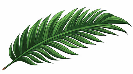 Hand drawn green palm leaf sketch style vector illu