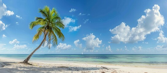 A beautiful beach with a palm tree in the foreground and a clear blue sky