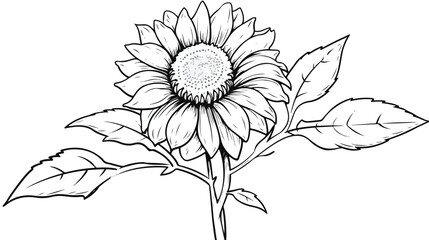 Hand drawn monochrome sunflowers leaf sketch style