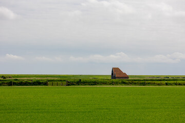 Spring polder landscape, Typical Texel island with old sheep shed farmhouse on green grass meadow with blue sky as background, The Dutch Wadden Islands off the coast of the Netherlands, Noord Holland.