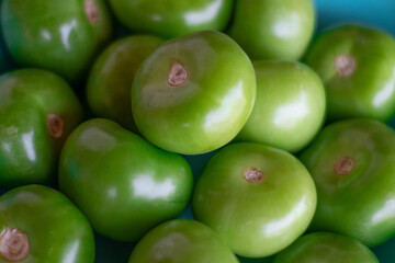 Tomates verdes