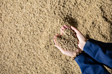 Compressed fodder, calf feed, in hands of unrecognizable farmer. Abundance of animale food.