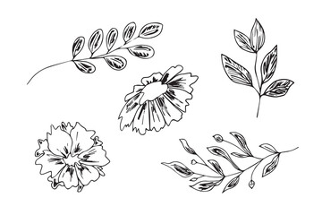 Flowers and twigs in Doodle style, hand-drawn on a white background.