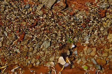 Abstract background patterns - Creek ripples