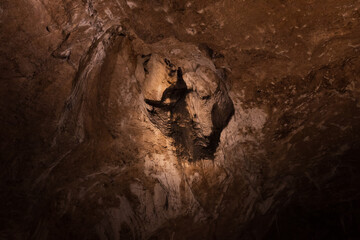 Rock formations in Carlsbad Caverns National Park, New Mexico