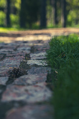 Stone path among the lawn