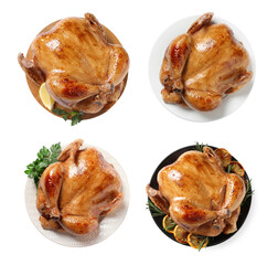 Set of delicious roasted chickens isolated on white, top view