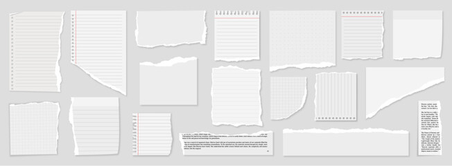ripped block grid and rulled paper pages torn blocks