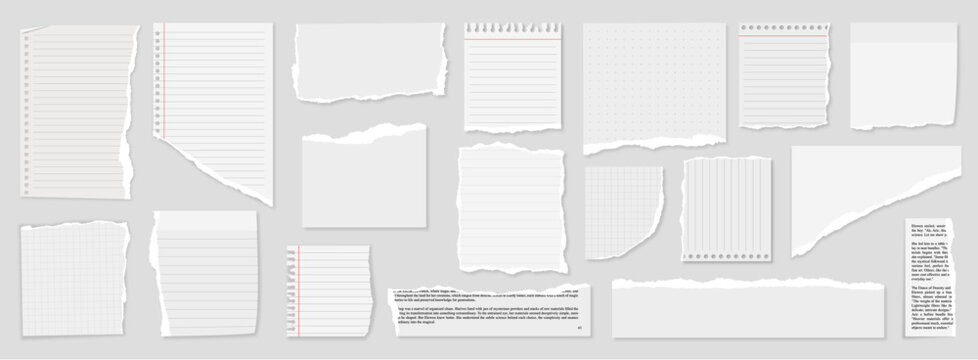 ripped block grid and rulled paper pages torn blocks