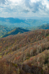 Spring, Trees Budding in the Great Smoky Mountains