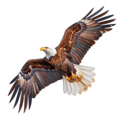 Obraz premium a bald eagle flying through the air with its wings spread, transparent background png