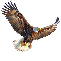 Obraz premium a bald eagle flying through the air with its wings spread, transparent background png