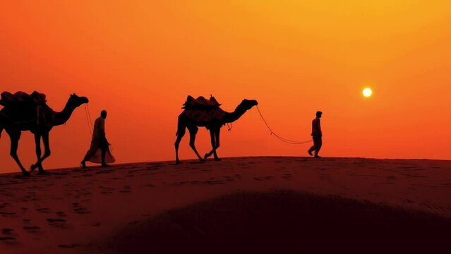 Silhouette scene in desert with man walking with camel in afternoon