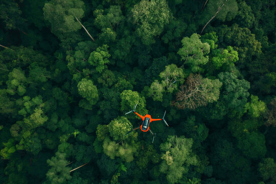 Ai-powered drone monitoring forest for illegal logging activities