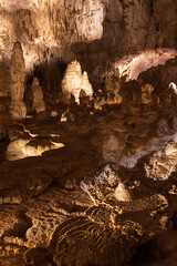 Rock formations in Carlsbad Caverns National Park, New Mexico
