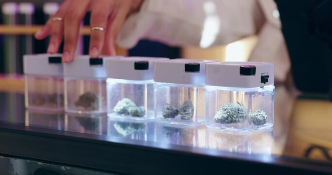 Weed, hand and bud in jar for dispensary, marijuana and display with recreational or medical use in store. Cannabis, pot or drugs with led light container for cbd oil, smoking and edibles or infusion