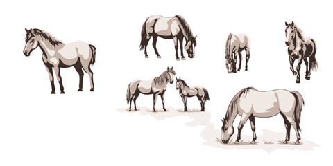 A sketch of horses grazing in a meadow, vector illustration