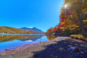 秋の長野県立科町の女神湖の湖畔越しに蓼科山方面を見る