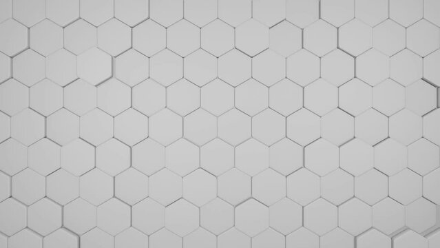 animation abstract background hexagon white color 4k video
