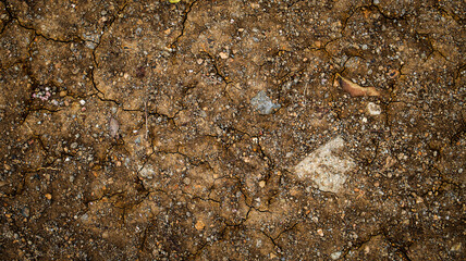 Cracked soil due to long dry season and drought. The ground cracks, hot climate, lack of moisture. Global warming, crop failure, climate change. Dry land background.