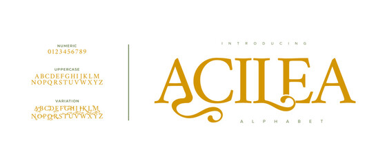 Acilea premium luxury elegant alphabet letters and numbers. Vintage wedding typography classic serif font decorative vintage retro. creative vector illustration