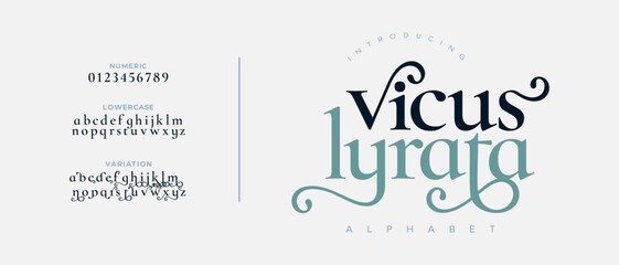 Vicuslyrata premium luxury elegant alphabet letters and numbers. Vintage wedding typography classic serif font decorative vintage retro. creative vector illustration