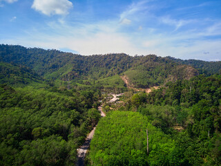 Green forest in the mountain against blue sky
